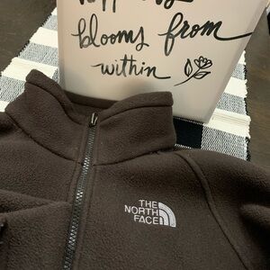 The North Face Brown Fleece Jacket